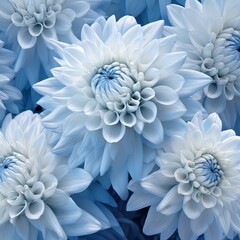 Beautiful Art Flower composition of blue flowers, top view. Beautiful design composition of blue blooming flowers. Digital illustration of beautiful light-blue flowers. Art digital painting.