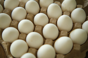 White eggs in a tray. Close up photo
