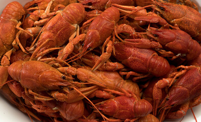 red boiled crayfish for background