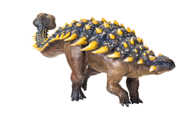ankylosaurus dinosaur , isolated background