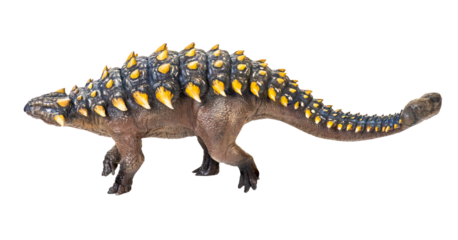 ankylosaurus dinosaur , isolated background