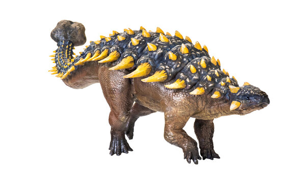 ankylosaurus dinosaur , isolated background