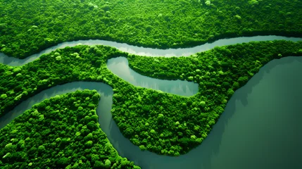 Fototapete Rund Mangrove forest from a height, aerial view of a mountain river in the forest. beautiful summer landscape.. ai generation © Sergii