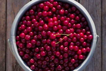 ripe red cherries in a buck with top view close up