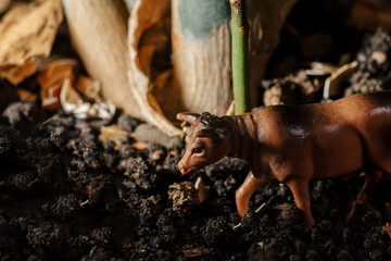 Fototapeta premium animales miniatura, toros , vacas, pollos, chivos sobre tierra y sobre hojas naturales, concepto de ganaderia , dia mundial de los animales, granjas.