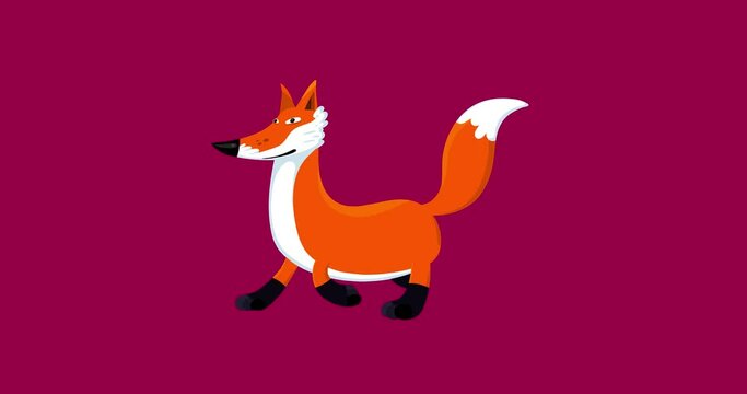 Fox cartoon animal character walking seamless loop. Funny isolated animal animation useful for any project.