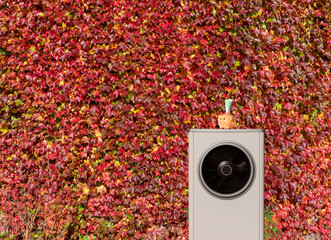 Herbst-Wärmepumpe mit Sparschwein vor einer bepflanzten Hauswand
