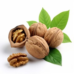 Walnuts with leaves isolated on white background