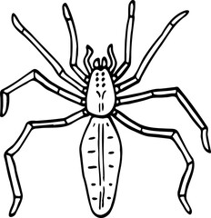 hand drawn spider illustration.