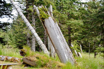 Historic Totem Poles at Skedans, Haida Gwaii, BC, Canada