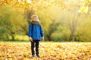 Little boy having fun during stroll in the forest at sunny autumn day. Child playing maple leaves....