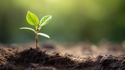 sapling in soil. growth and start up concept. generative AI