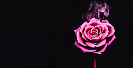 Midnight Blooming Brilliance, Generative AI