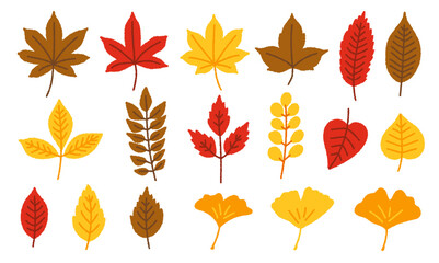 秋の植物の手書きベクターイラストセット／紅葉・イチョウ・カエデ・葉っぱ・落ち葉