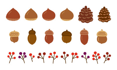 秋の植物の手書きベクターイラストセット／どんぐり・くり・まつぼっくり・赤い実