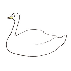 横を向く白鳥のイラスト