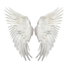 angel wings isolated on transparent background cutout