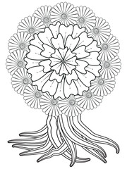 Flowers bouquet coloring book page. Isolated on white background. Doodle drawing anti-stress coloring books page for adults or children. Flat Vector Illustration