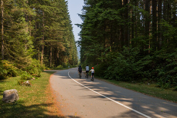 Active life - cycling. Cyclists on the road in a coniferous forest. Mountain road between deep forest. bike ride with friends
