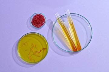 Top view of stigmas saffron on petri dish and yellow essence on test tubes decorated on purple background. Scene of natural ingredients with many uses for beauty