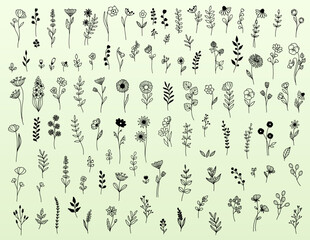 Wildflower Doodle Drawing, Minimalistic Flowers & Greenery Line Drawing Set, Vector Floral Clip Art, Hand-drawn, For Decoration, Wedding, Marketing, Branding, Cricut Laser Cut, Crafting