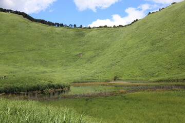 Scenery of a grass carpet on the Soni Plateau in Nara Prefecture, Japan