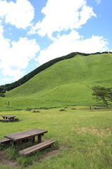 Scenery of a grass carpet on the Soni Plateau in Nara Prefecture, Japan