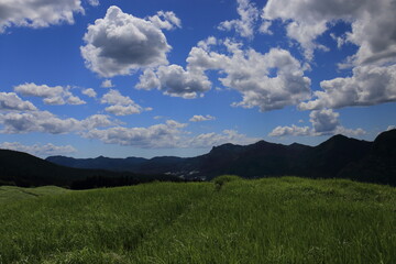 Obraz premium Scenery of a grass carpet on the Soni Plateau in Nara Prefecture, Japan