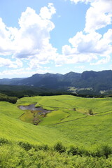 Fototapeta na wymiar Scenery of a grass carpet on the Soni Plateau in Nara Prefecture, Japan