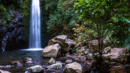 waterfall in the forest, Wash Pen Fall, New Zealand