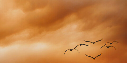Mesmerizing flock of birds takes flight, gracefully soaring in the lower right corner against a dramatic and stormy overcast cloudy sky