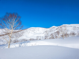 Fields and mountains covered with fresh snow (Niseko, Hokkaido, Japan)