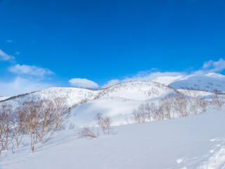 Fields and mountains covered with fresh snow (Niseko, Hokkaido, Japan)