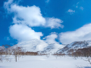 Obraz premium Fields and mountains covered with fresh snow (Niseko, Hokkaido, Japan)