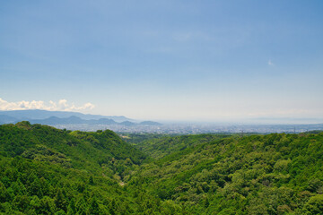 三島市と沼津市を望む