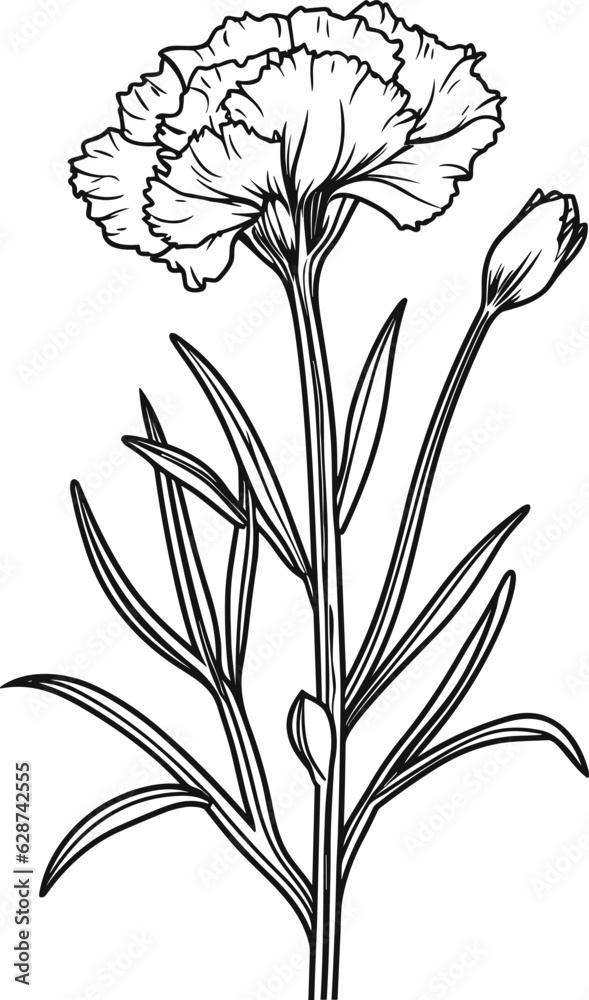 Wall mural dianthus coloring pages vector animals