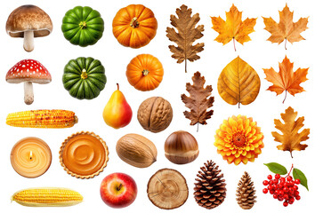 Collection of various autumn objects - leaves, mushrooms, nuts, fruits etc, isolated on transparent background - obrazy, fototapety, plakaty