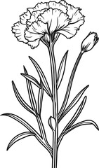 Dianthus coloring pages vector animals