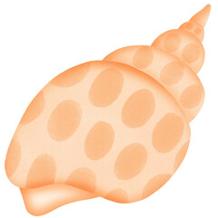 shellfish