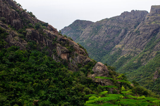Scenic landscape of the kolli hills in the Namakkal district, Tamil Nadu.