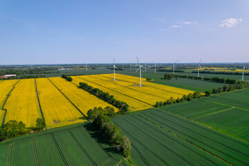 Aerial view Wind turbine on grassy yellow farm canola field against cloudy blue sky in rural area....