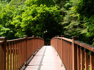 나무 데크 산책로