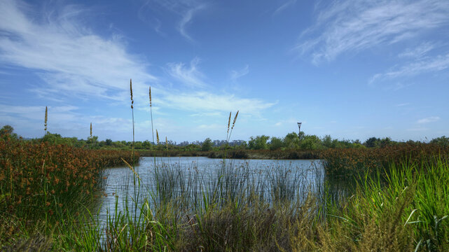 View over a blue pond in San Joaquin Wildlife Sanctuary in Irvine, California