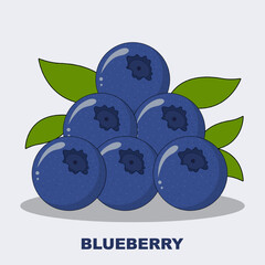 Fresh bright exotic blueberries vector illustration isolated on soft blueberry color background. Summer fruits for healthy lifestyle. Organic fruit. Cartoon style. Vector illustration for any design.