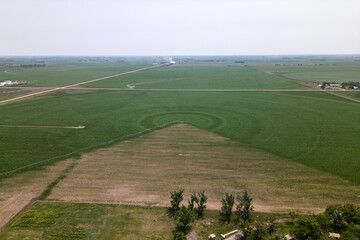 A circle of wheat has a circle in the middle of it. A field with a sprinkler on it. A farm is seen from the air.