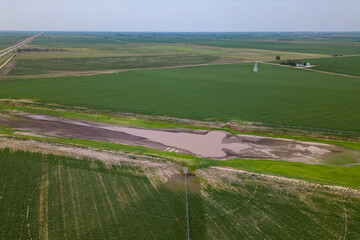 A circle of wheat has a circle in the middle of it. A field with a sprinkler on it. A farm is seen from the air.