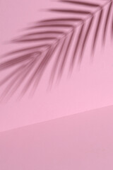 palm leaf shadow on pink background. Creative layout, minimalism