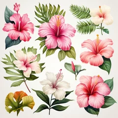  watercolor plumeria elements isolated on white, AI Generated © dark_blade