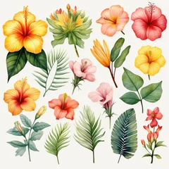  watercolor plumeria elements isolated on white, AI Generated © dark_blade