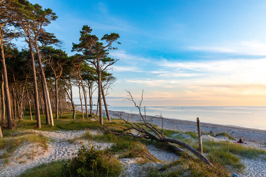 Zum Sonnenuntergang am Darsser Weststrand, Karibik der Ostsee.